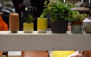 IMM-Cologne-2018-Tom-Tailor-12