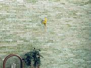 stonecycling-green